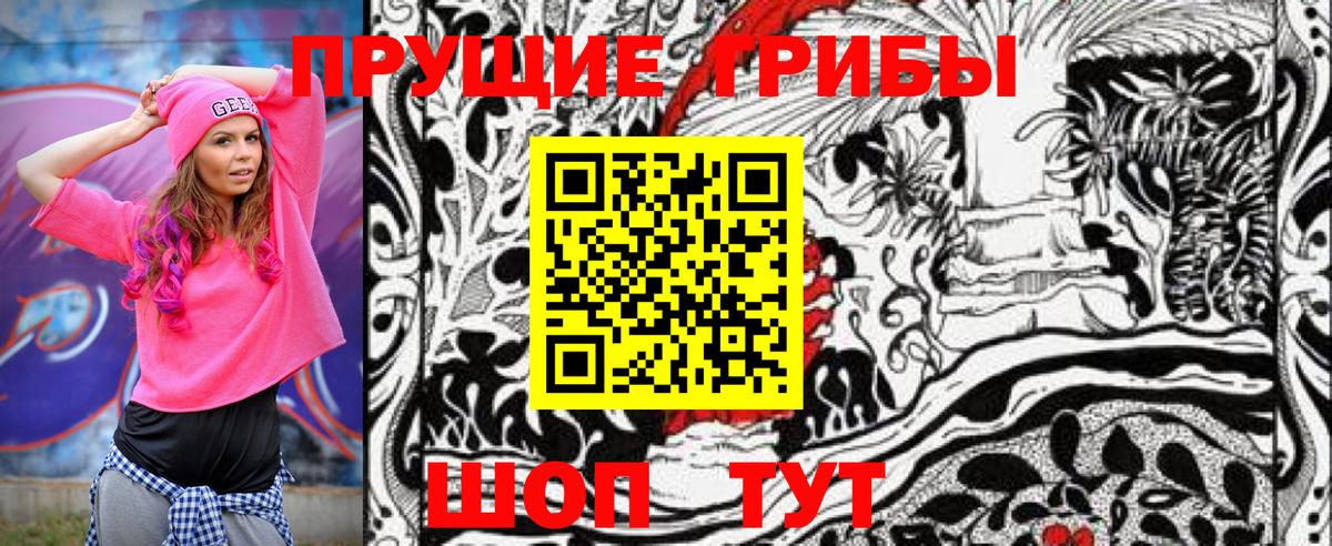 Новоалтайск  Псилоцибиновые грибы MAGIC MUSHROOMS  Вход с VPN 